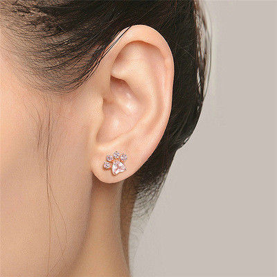 چشم انداز دوست داشتنی ردپای حیوانات بچه ها گوشواره های اسد در 925 استرلینگ نقره مس