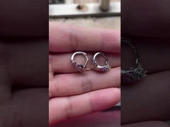 رودیوم پوشانده تک شاخه رنگارنگ مسموم آغوش گوشواره ها برای نوجوانان جواهرات مد